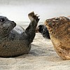 High Five