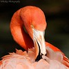 DSC_0263_(1)